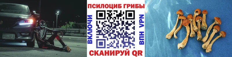 Галлюциногенные грибы Psilocybe  Купить закладки  Тотьма 