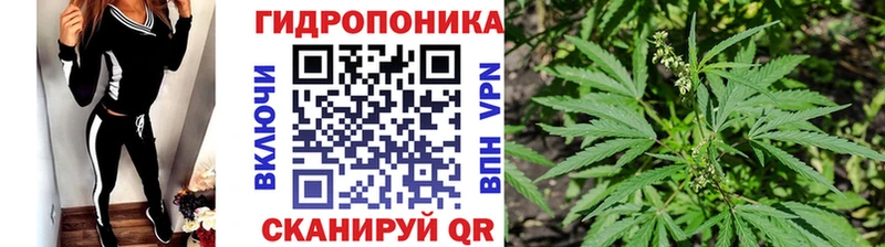 Канабис MAZAR  Купить закладки  Тотьма 